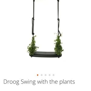 Droog Swing with the plants